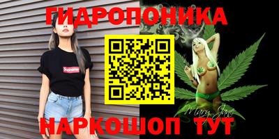 скорость Будённовск