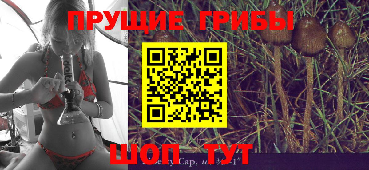 Псилоцибиновые грибы Magic Shrooms  Вход с VPN  Куйбышев 