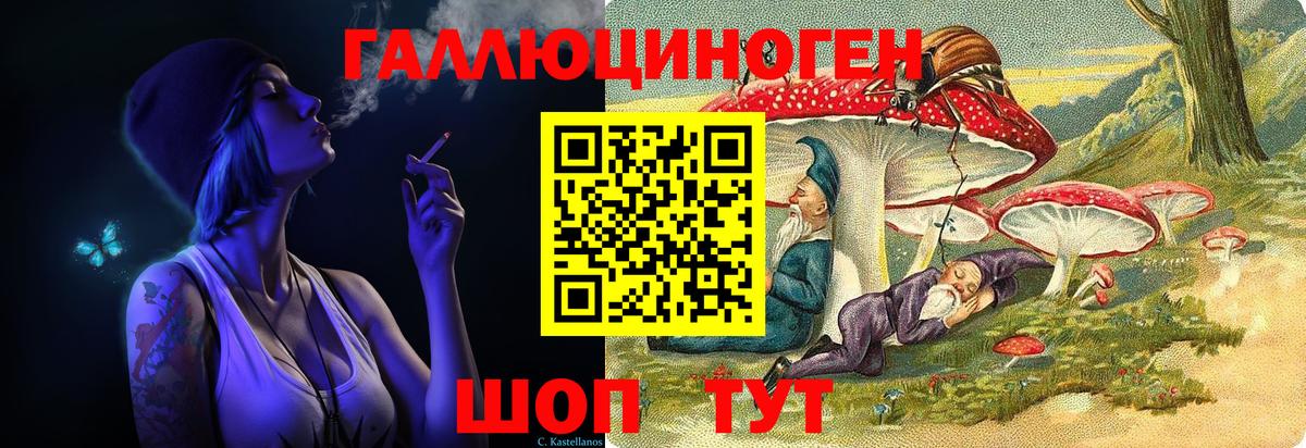Псилоцибиновые грибы Psilocybe Куйбышев